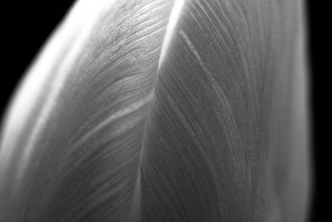 Photo by Igor Pollet