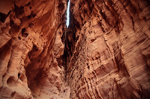 Photo by David Arbitman