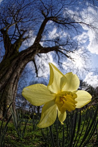 Photo by Maxime Kaiser