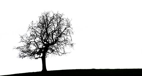 Photo by AC Photographic