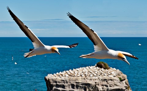 Photo by photoman555