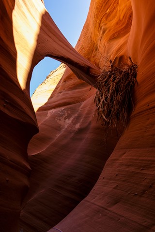 Photo by 141016-1245_IMG_2224