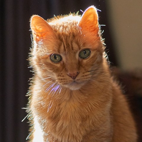 Photo by flashspectrum