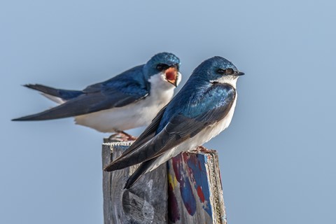 Photo by lickity split