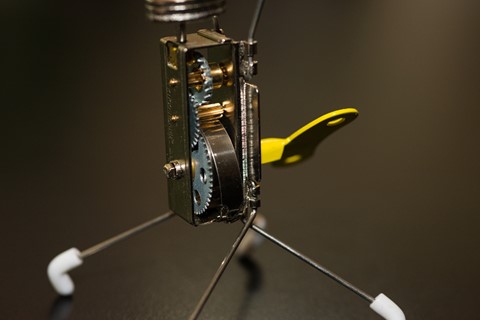 Photo by Ronald C Johnson