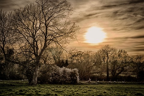 Photo by ajcanonph070s