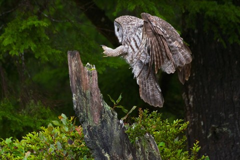 Photo by DigitalWalnut