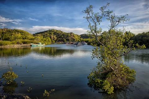 Photo by J Mountford