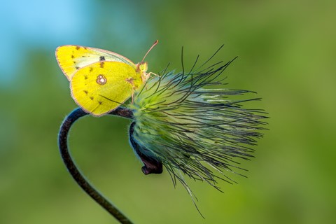 Photo by andreasbinder