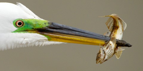 Photo by DigitalWalnut