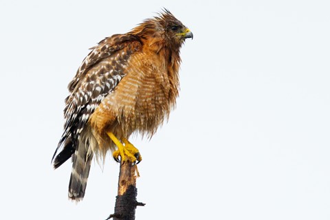 Photo by DigitalWalnut