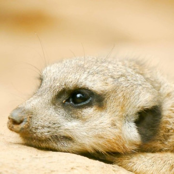 Photo by *I* christian.struwe