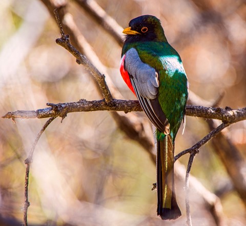 Photo by evanrassbcglobalnet