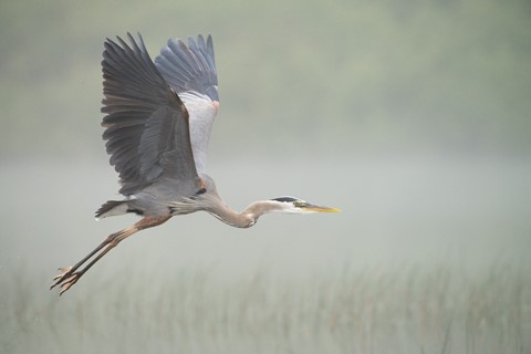 Photo by DigitalWalnut