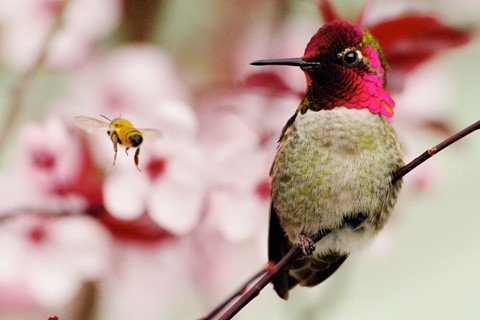 Photo by DigitalWalnut