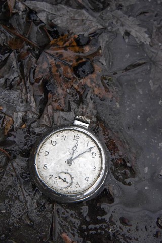 Photo by Gerald George