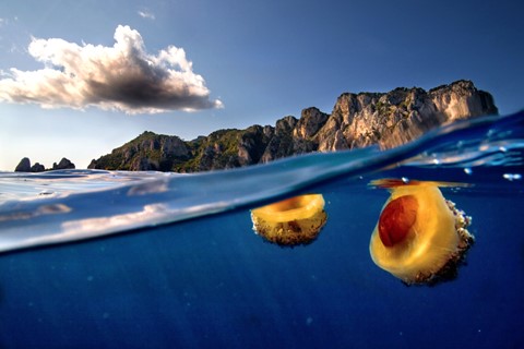 Photo by Alessandro Catuogno