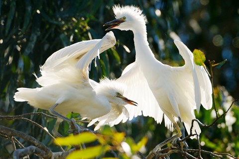 Photo by DigitalWalnut