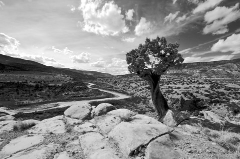 Photo by abiquiuense