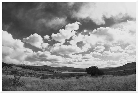 Photo by Valley in Black & White