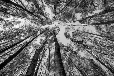 Photo by Guilherme Iglesias