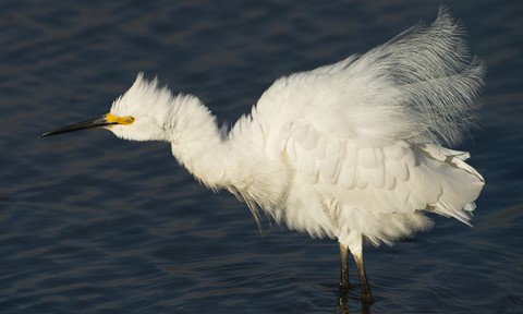 Photo by DigitalWalnut