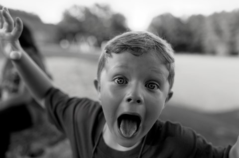 Photo by Twelve Crows