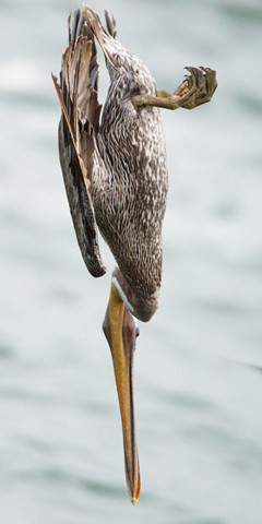 Photo by DigitalWalnut