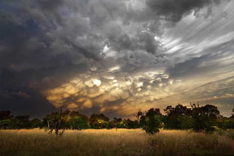 Photo by George Veltchev