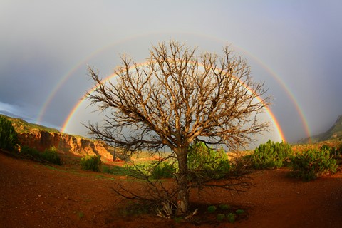 Photo by abiquiuense