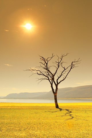 Photo by George Veltchev