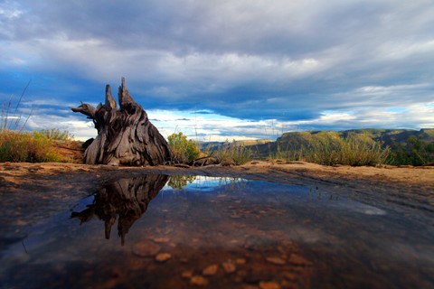 Photo by abiquiuense