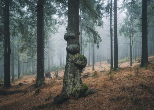 Photo by *Pro I* Benjamin Grimm