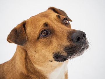 Photo by Imaging Resource