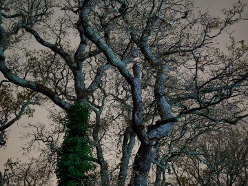 Photo by Amateur Photographer