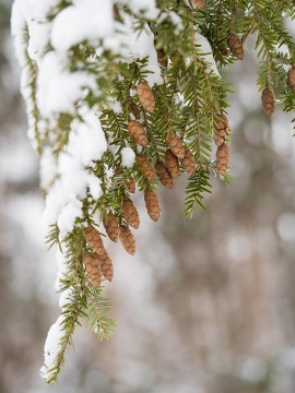 Photo by Imaging Resource