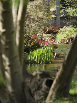 Photo by Camera Jabber