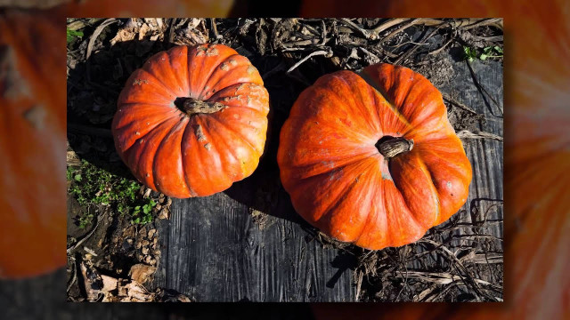 Photo by DPReview TV