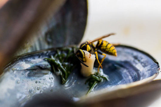 Photo by Michael Davleris