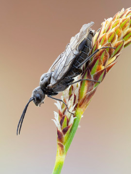 Photo by Cristian Arghius