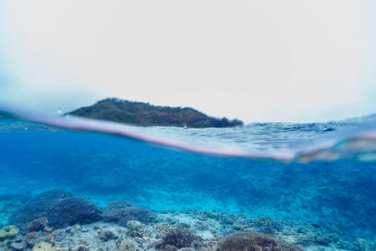 Photo by Daishi Naruse