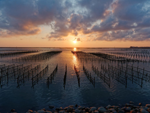 Photo by Mickey Huang