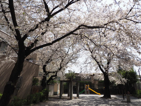 Photo by digitalbear