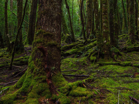 Photo by HarQ Yamaguchi