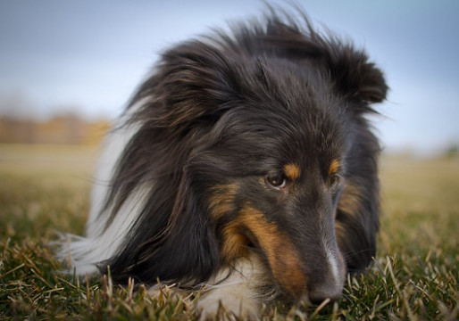 Photo by Chris.and.Jen