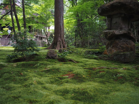 Photo by noryouforme