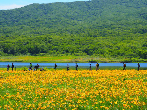Photo by HIDEO YAMADA