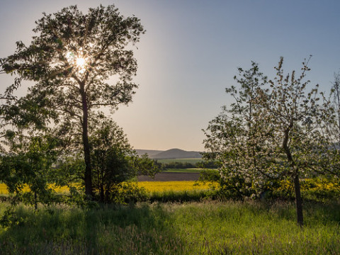 Photo by Jörg Esper