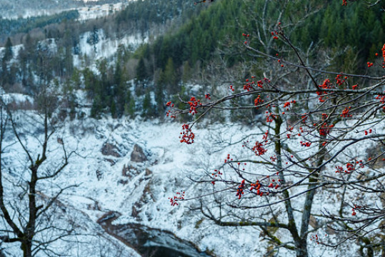 Photo by Maxime Bonzi