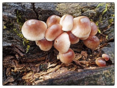 Photo by Paul Hoskins